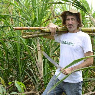 Boer die rietsuiker op zijn schouder draagt biobased PE