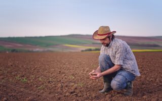 boer op zijn land powderpack circuflex potting soil fertilizers (tuinbouw)